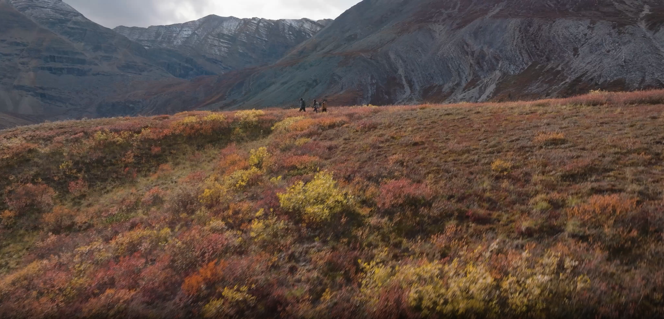 Two people walking across a grassy area of a mountain in BC, Canada